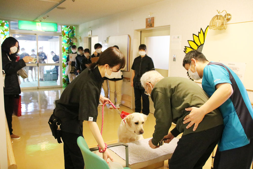 ドッグセラピーチームアビィーの見学に来られました ｜介護老人保健