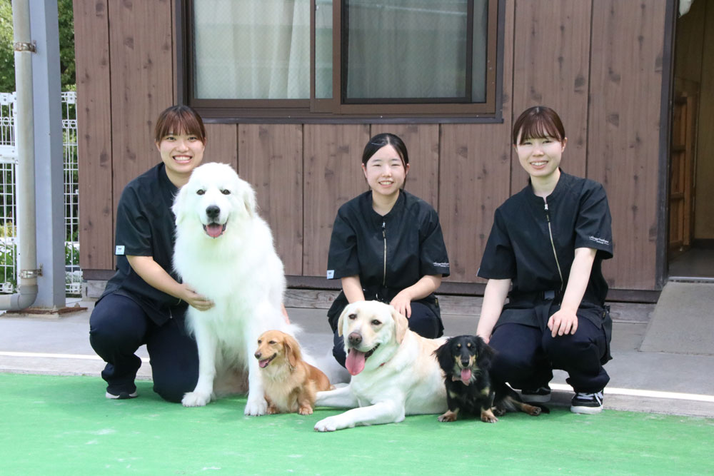 ドッグセラピー ｜介護老人保健施設 おとなの学校 岡山校